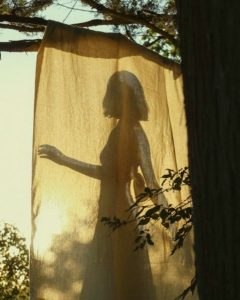 رمان شاهزاده های کاغذی